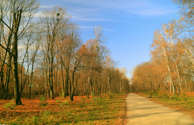 Дендропарк «Александрия»