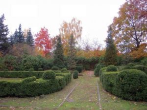 Сырецкий дендропарк Киев