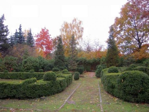 Сырецкий дендропарк Киев