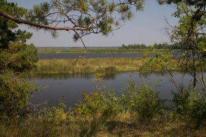 Днепровско-Тетеревский заповедник