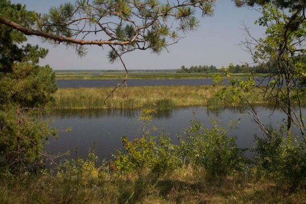 Днепровско-Тетеревский заповедник 