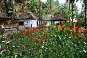 "Украинское село" на Киевщине