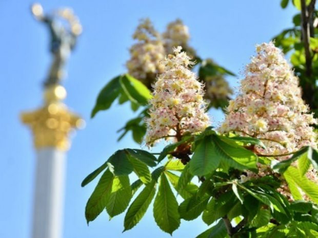С Крещатика уберут символ столицы