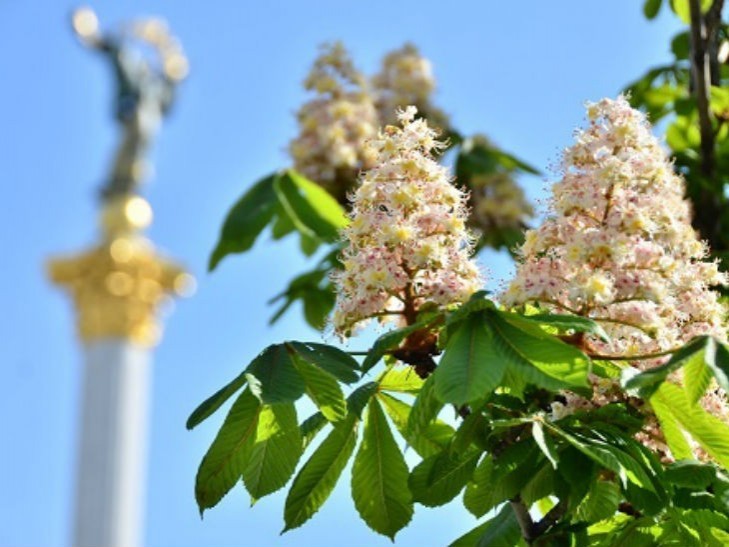 С Крещатика уберут символ столицы
