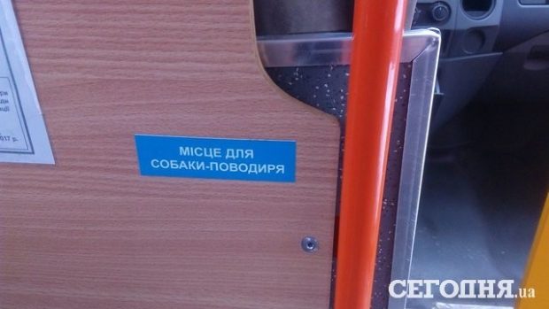 В маршрутках Киева появились места для собак-поводырей