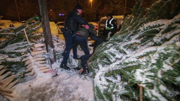 В Киеве попытка украсть елку закончилась дракой на ножах и топорах