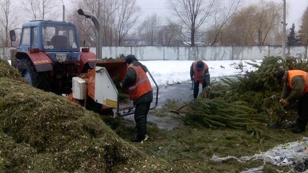 В Киеве открыли 15 пунктов приема новогодних елок
