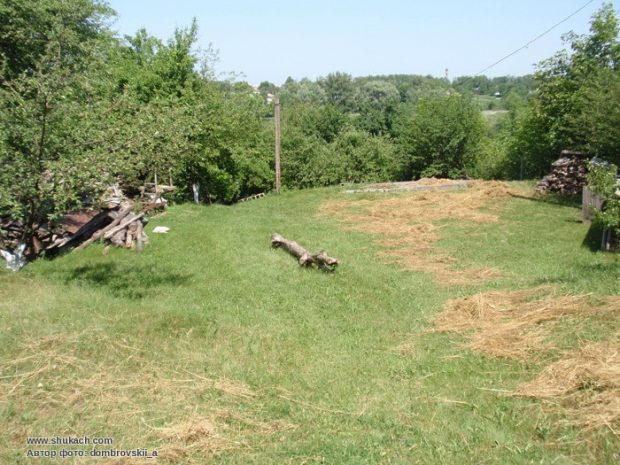 Добраничевка, Киевская область