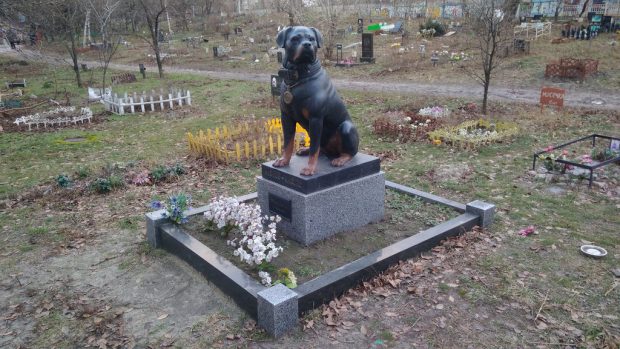 Кладбище домашних животных, Киев