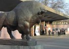 Зоопарк в Киеве