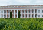 Дворец Потоцких, Винница