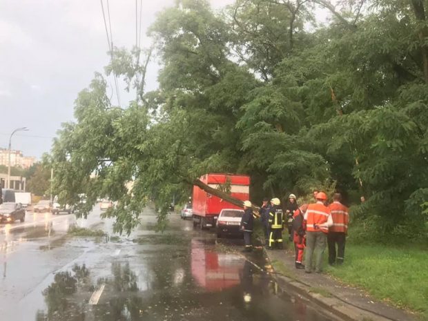 Буря в Киеве и области повалила деревья и поломала авто