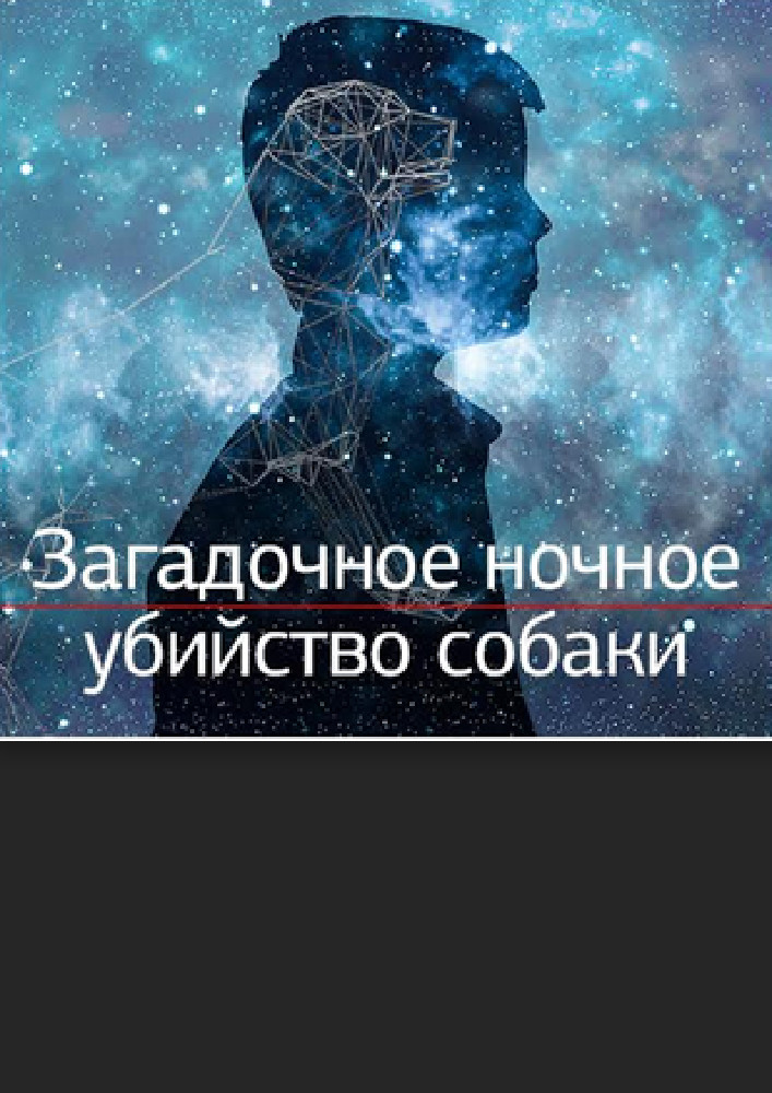 Загадочное ночное убийство собаки Киев