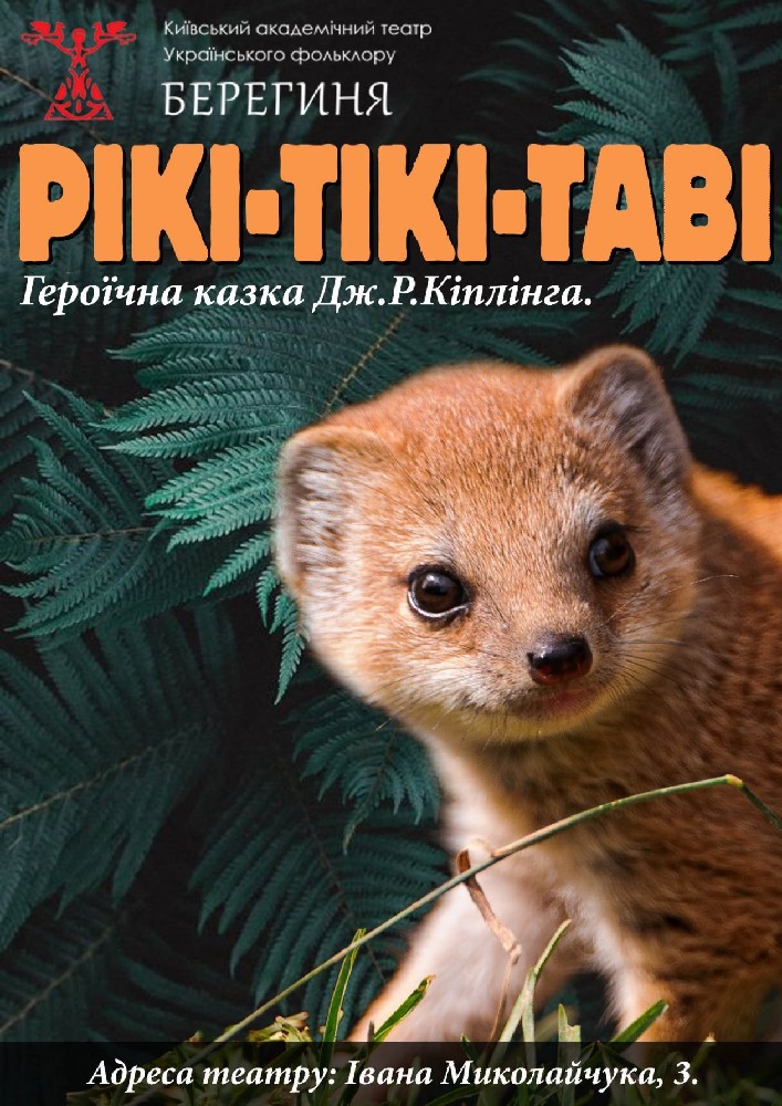 Рики Тики Тави Киев
