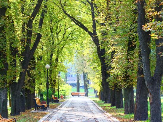 Мариинский парк 