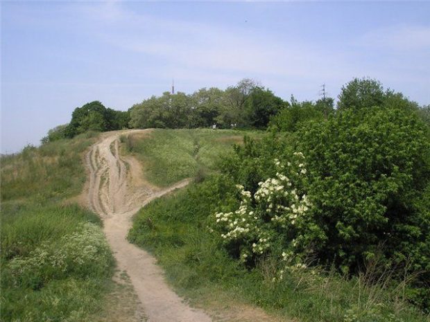 Щекавица