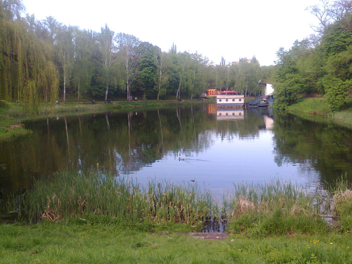 Район Нивки, парк, Киев