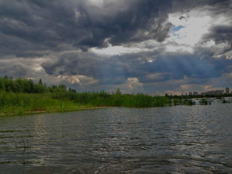 Остров Муромец, Киев