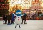 Каток на ВДНХ, Киев