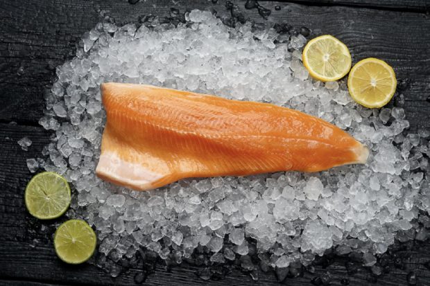 Голец арктический филе