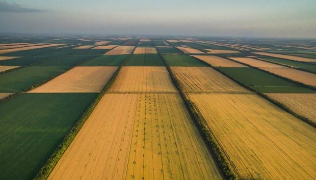 Рынок земли в Украине