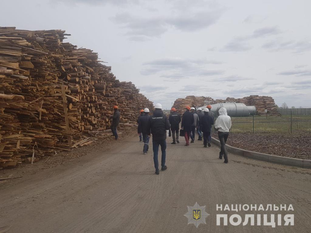 Радиоактивную древесину могли сжигать в Киевской области – полиция
