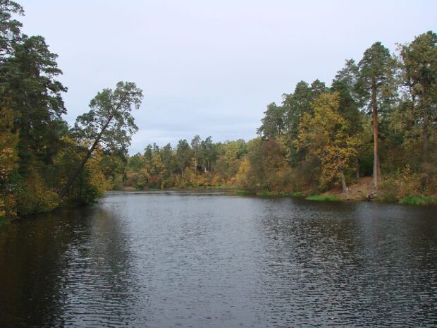 Вербне озеро