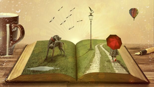 книга подарок