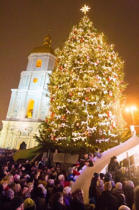 Новогодняя ёлка 2015 года. Фото: Максим Люков, kp.ua