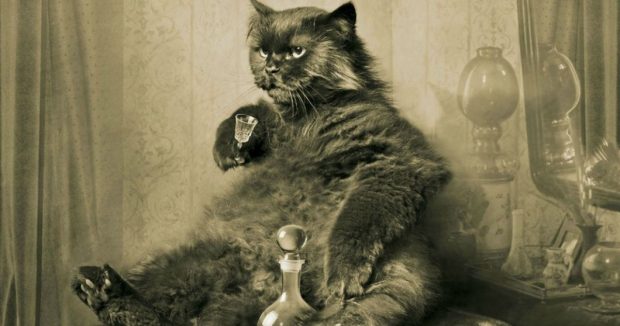 Кот Бегемот