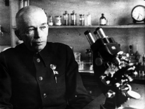 Богомолец 01