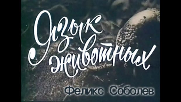 Заставочный экран