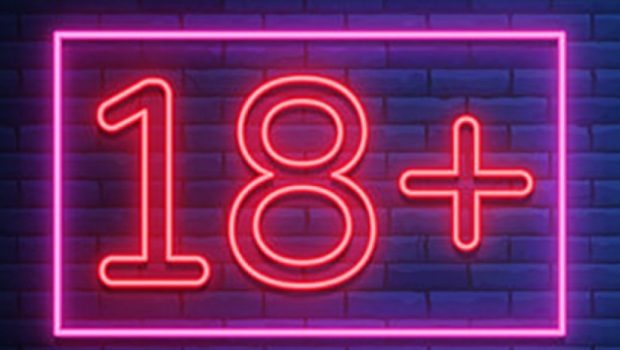 Игрушки 18+