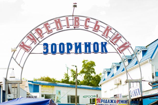 птичий рынок