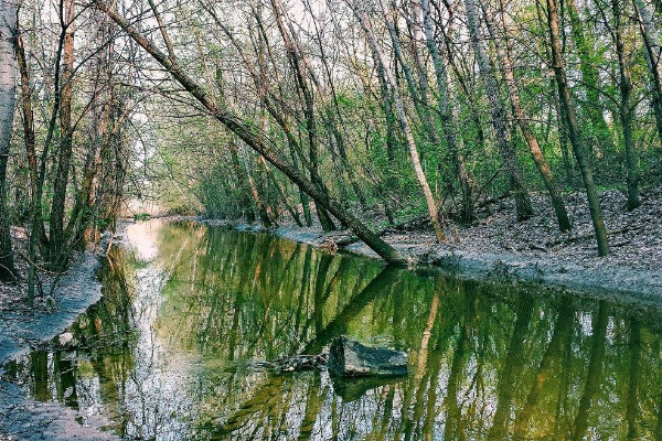 Річка Почайна