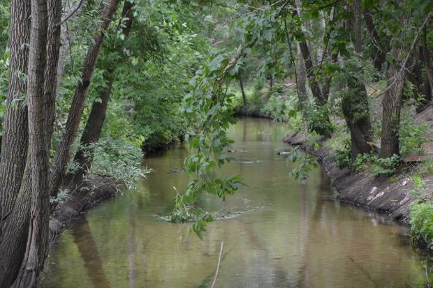 Річка Почайна