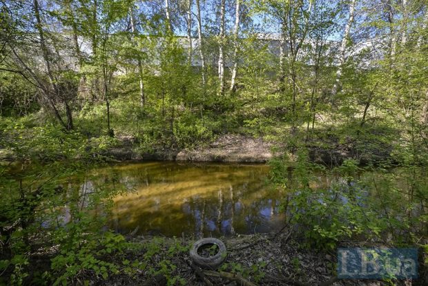 Річка Почайна