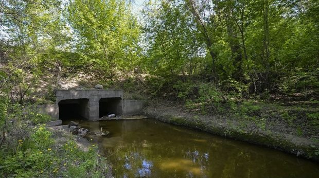 Річка Почайна