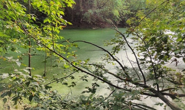 Річка Почайна