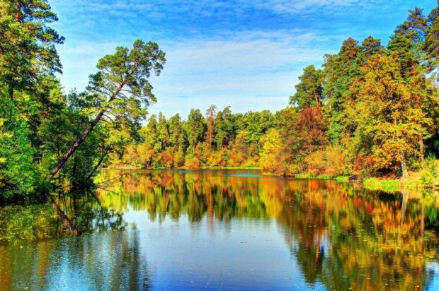 Пуща Водица