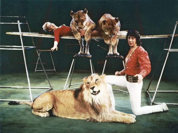 Дресирувальник Володимир Шевченко з дружиною та тваринами