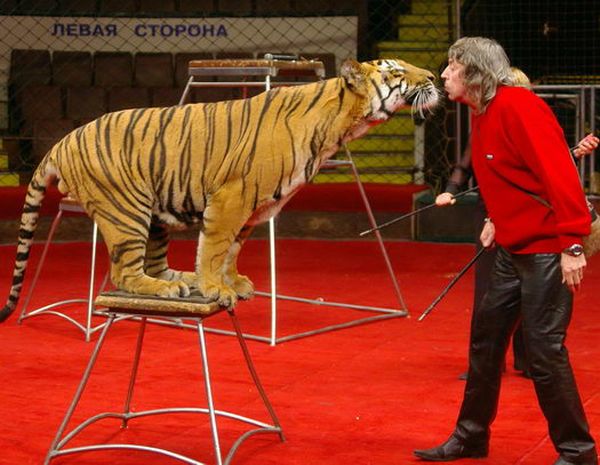 Дресирувальник Володимир Шевченко