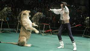 Дресирувальник Володимир Шевченко