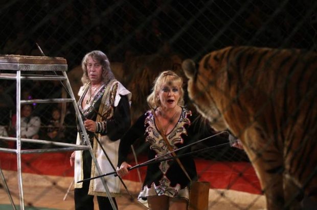 Дресирувальники Володимир та Людмила Шевченко