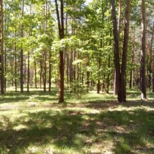 метро красный хутор