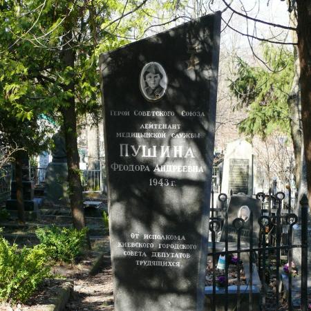 Федора Пушина, Киев