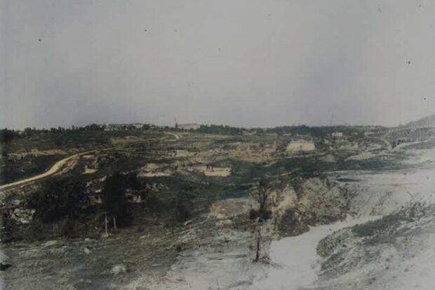 Звіринецькі руїни