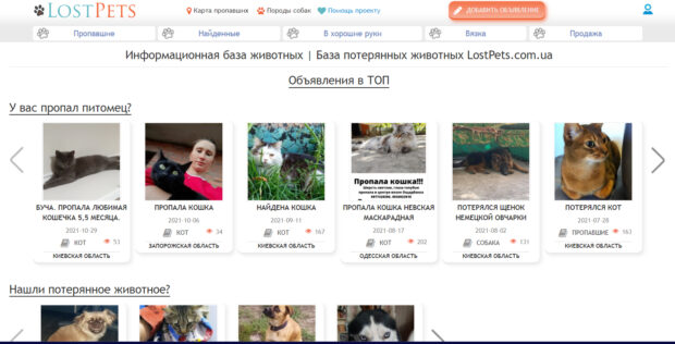 lost pets