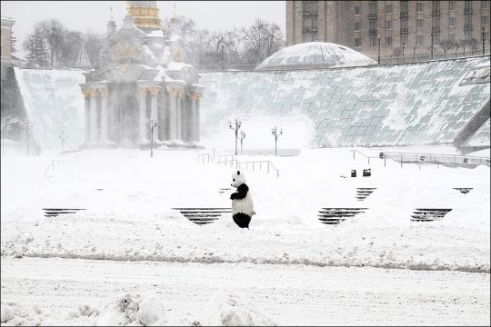 снег в марте 2013 года киев