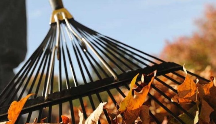 В Україні офіційно зареєстрованих безробітніх залучатимуть до громадських робіт